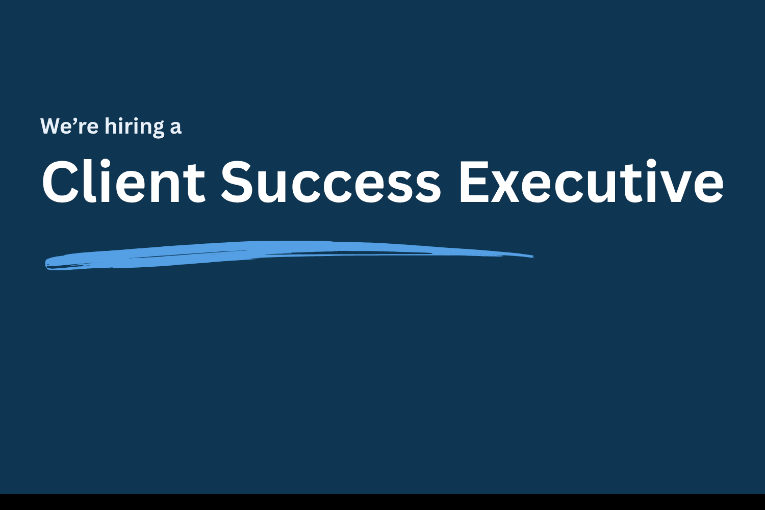 Client Services Executive